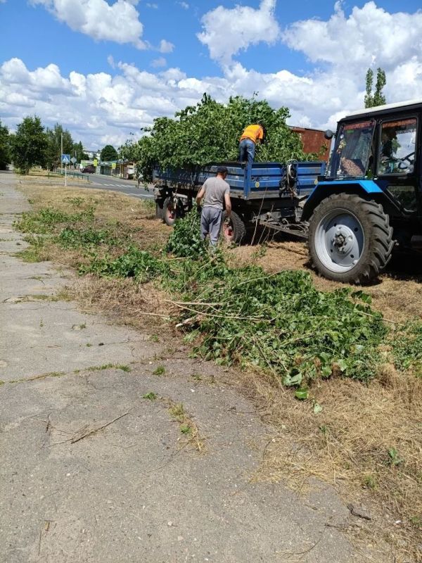 Сотрудники МУП "ДЭП города Рубежное" осуществляют мероприятия по удалению поросли древесных растений Сотрудники МУП "ДЭП города Рубежное" осуществляют мероприятия по удалению поросли древесных растений