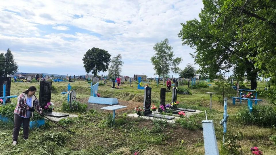 Благоустройство кладбищ в Белокуракинском округе Благоустройство кладбищ в Белокуракинском округе