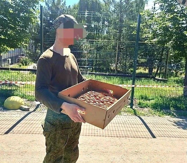 В преддверии Дня России: тепло сердец для наших героев! В преддверии Дня России: тепло сердец для наших героев!