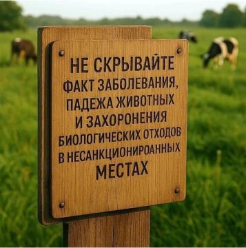 ��������������� �� �������� ������ �������� � ���������� ����������� �������