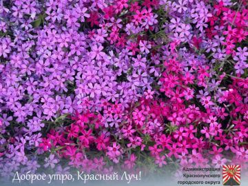 Доброе утро, краснолучане и гости города !
