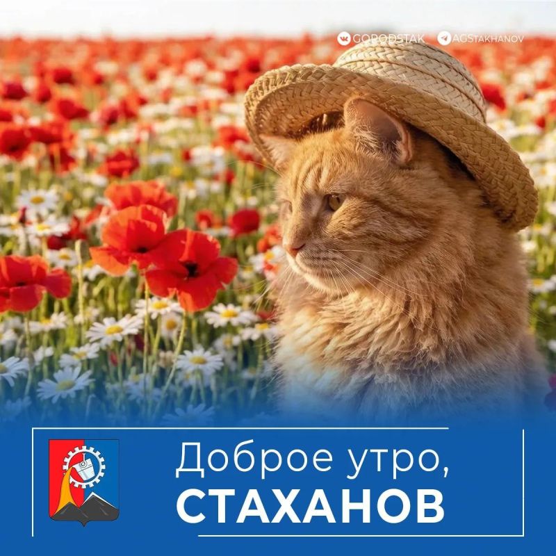 Доброе утро, родной город!