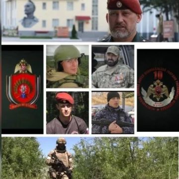 Ко Дню России Росгвардия и оргкомитет Международного фестиваля медийного творчества "Братина" проводят показ документальных фильмов о героях СВО
