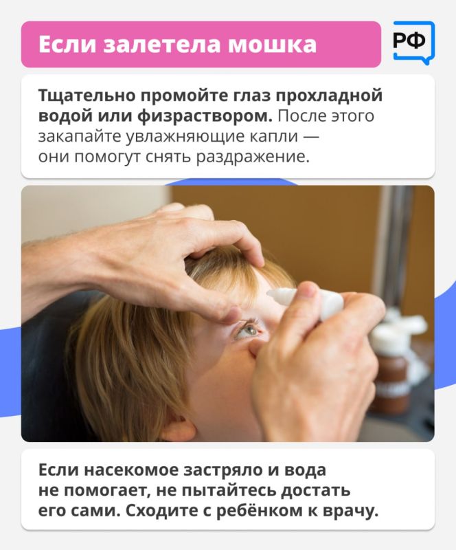 Лето, песочница и дети, которые бросают друг в друга песок… Такая картина знакома почти всем родителям Лето, песочница и дети, которые бросают друг в друга песок… Такая картина знакома почти всем родителям