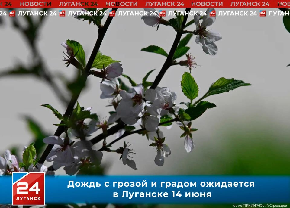 Дождь с грозой и градом обещают синоптики в Луганске 14 июня