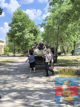 В современном мире проблема загрязнения окружающей среды становится все более актуальной