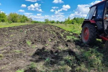 � ������������������ ������� ������ ��������������� ���������������� �����