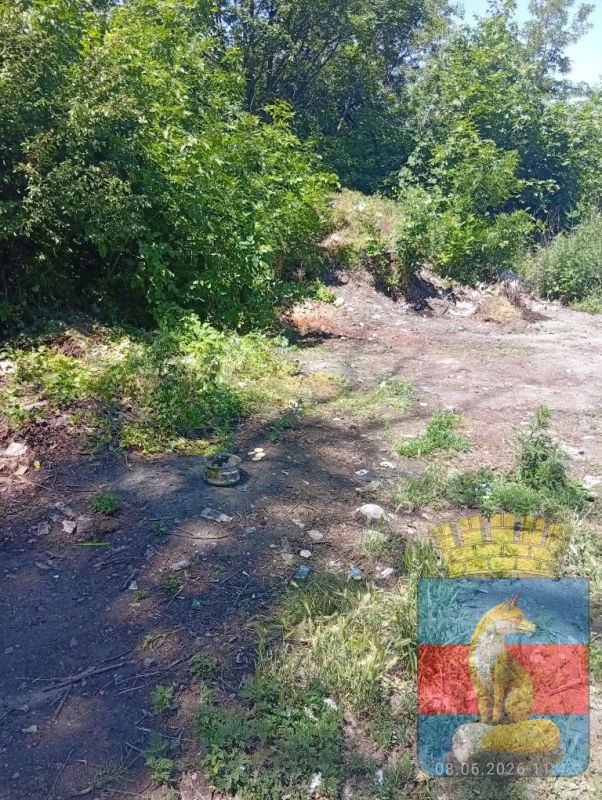В современном мире проблема загрязнения окружающей среды становится все более актуальной В современном мире проблема загрязнения окружающей среды становится все более актуальной