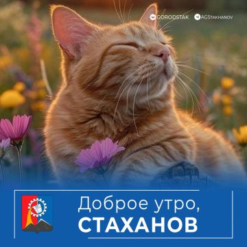 Доброе утро, Стаханов!. Суббота