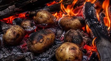 Вкуснятина с дымком. Как избежать ошибок при запекании картошки в костре