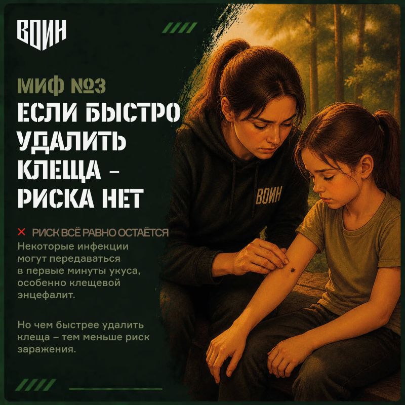 «Безопасное лето»: 10 мифов о клещах «Безопасное лето»: 10 мифов о клещах