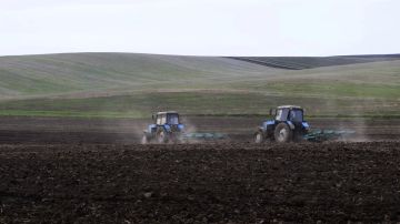 В Кременском муниципальном округе завершается яровой сев