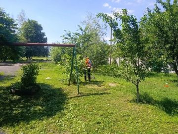 Андрей Рубанцов: В ГОРОДСКОМ ОКРУГЕ ПРОДОЛЖАЕТСЯ БОРЬБА С СОРНОЙ РАСТИТЕЛЬНОСТЬЮ