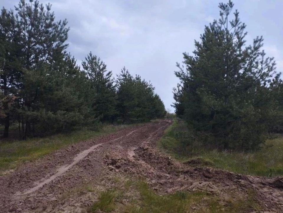 В ЛНР продолжается создание и обновление минерализованных полос В ЛНР продолжается создание и обновление минерализованных полос