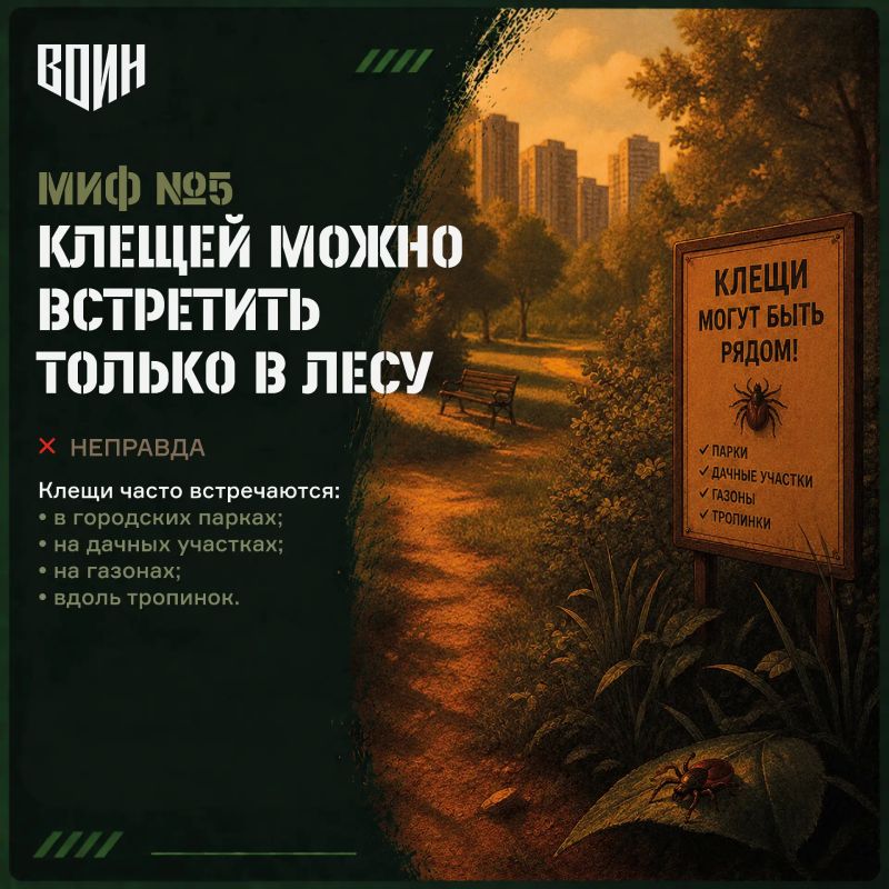 «Безопасное лето»: 10 мифов о клещах «Безопасное лето»: 10 мифов о клещах