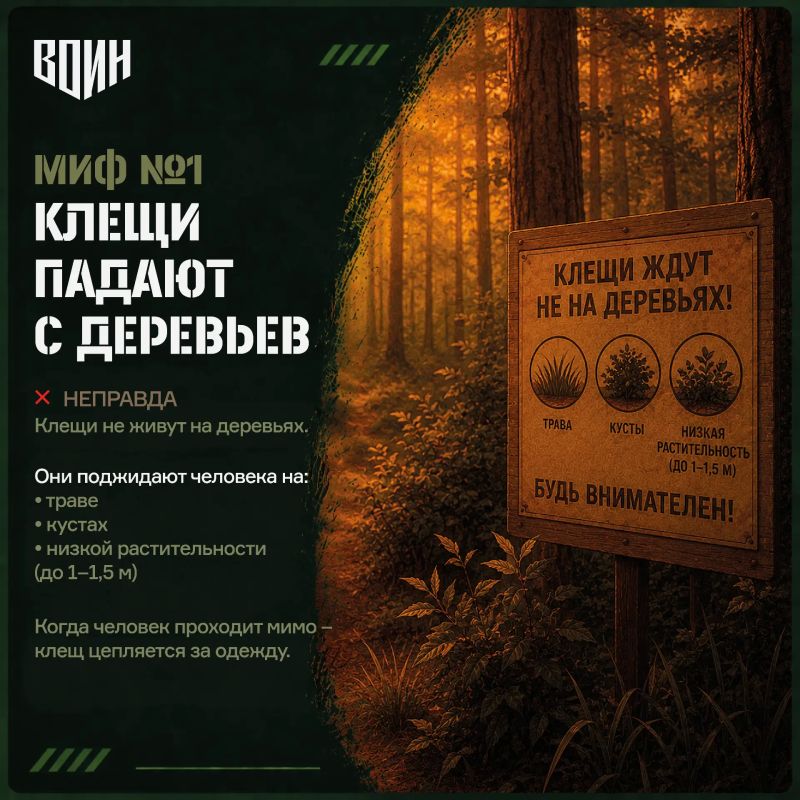 «Безопасное лето»: 10 мифов о клещах
