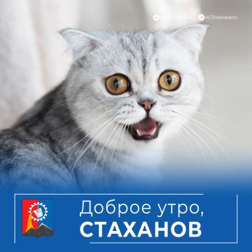 Доброе утро, родной город!