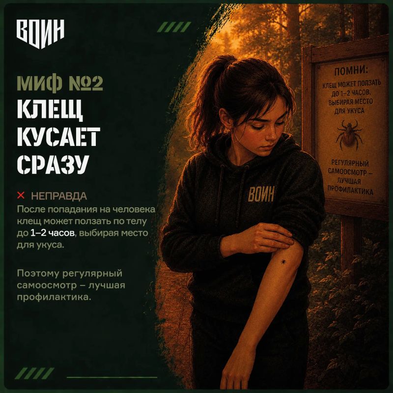 «Безопасное лето»: 10 мифов о клещах «Безопасное лето»: 10 мифов о клещах