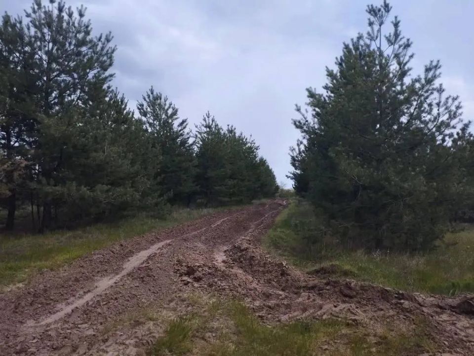 В Республике продолжается комплексная работа по предупреждению лесных пожаров В Республике продолжается комплексная работа по предупреждению лесных пожаров