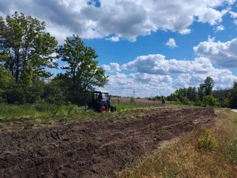 В ЛНР продолжается создание и обновление минерализованных полос В ЛНР продолжается создание и обновление минерализованных полос