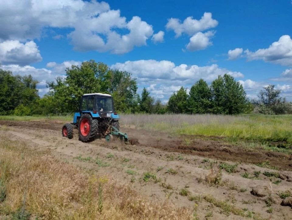 В Республике продолжается создание и обновление минерализованных полос