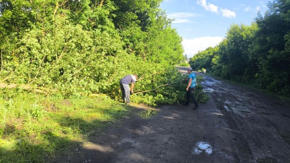 Благоустройство территорий в Белокуракинском муниципальном округе Благоустройство территорий в Белокуракинском муниципальном округе