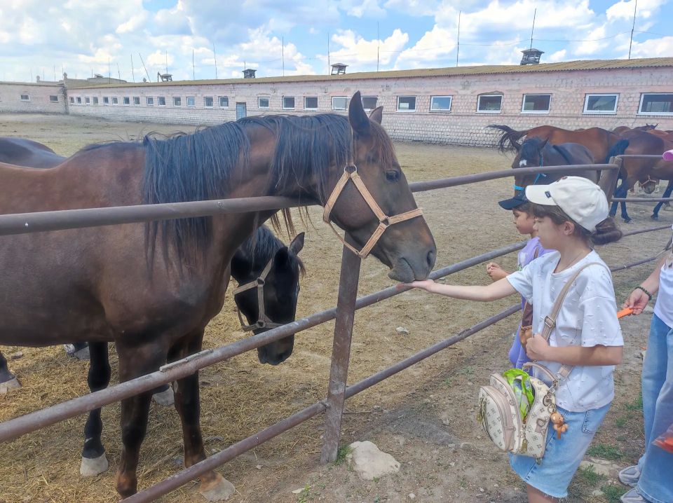 Сила и грация родного края: наш день в Деркульском конном заводе №63!