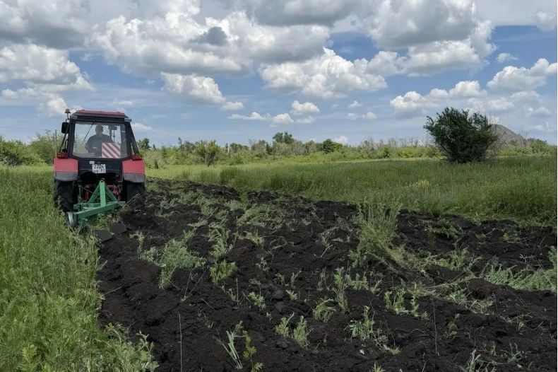 Устройство минерализованных полос проводится на подведомственной отделу по обеспечению жизнедеятельности села Александровка территории Устройство минерализованных полос проводится на подведомственной отделу по обеспечению жизнедеятельности села Александровка территории