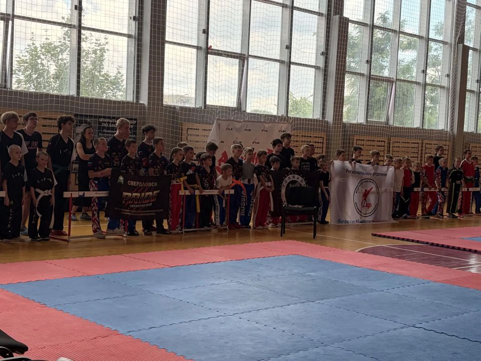В Алчевске прошел Открытый турнир по кикбоксингу В Алчевске прошел Открытый турнир по кикбоксингу