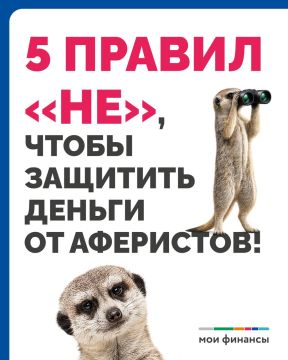 5 простых правил, которые точно обезопасят, если с вами связался мошенник