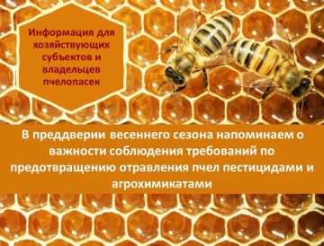 Безопасность пчёл — общая ответственность аграриев и пчеловодов!