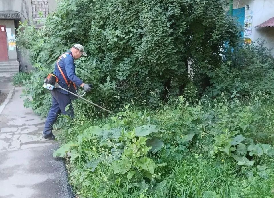 Службы ЖКХ продолжают работы по покосу травы на территории города Службы ЖКХ продолжают работы по покосу травы на территории города