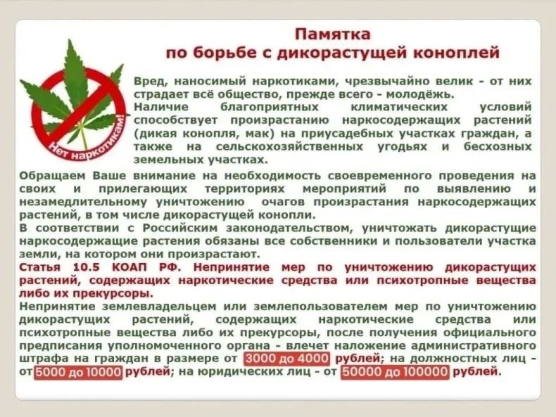 Уважаемые владельцы земельных участков, садоводы и огородники Свердловского муниципального округа! Уважаемые владельцы земельных участков, садоводы и огородники Свердловского муниципального округа!