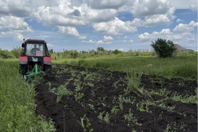Устройство минерализованных полос проводится на подведомственной отделу по обеспечению жизнедеятельности села Александровка территории Устройство минерализованных полос проводится на подведомственной отделу по обеспечению жизнедеятельности села Александровка территории