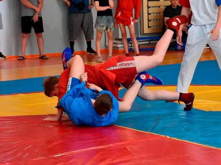 В Алчевске состоялся республиканский турнир по самбо памяти заслуженного тренера Василия Хоменко