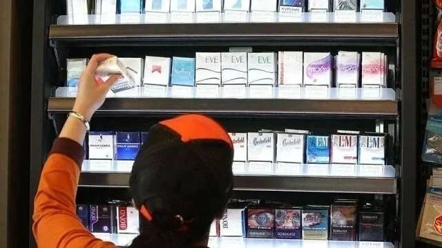 Работа сенаторов направлена на совершенствование оборота табачных и никотиносодержащих изделий, а также на снижение доли их нелегального распространения