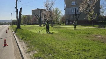 Глава Луганска поручила взять под жесткий контроль покос травы на территориях, прилегающих к учреждениям и предприятиям