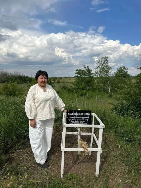 10.06.2026 ровно год со дня открытия нового здания отдела ЗАГС в г. Антрацит, восстановленного шефом – регионом Республика Калмыкия 10.06.2026 ровно год со дня открытия нового здания отдела ЗАГС в г. Антрацит, восстановленного шефом – регионом Республика Калмыкия