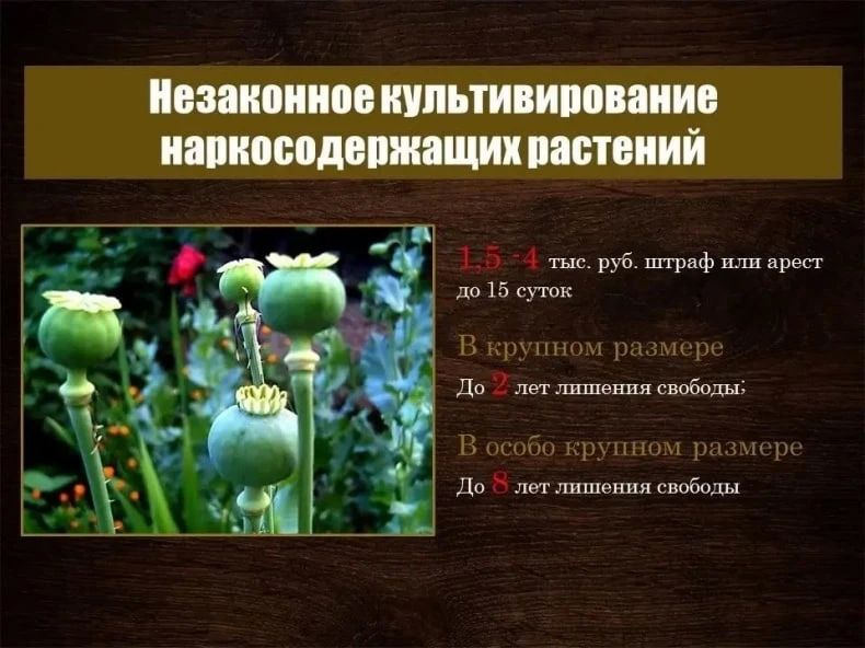 Уважаемые владельцы земельных участков, садоводы и огородники Свердловского муниципального округа! Уважаемые владельцы земельных участков, садоводы и огородники Свердловского муниципального округа!