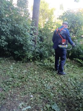 Коммунальными службами проведены работы на территории города