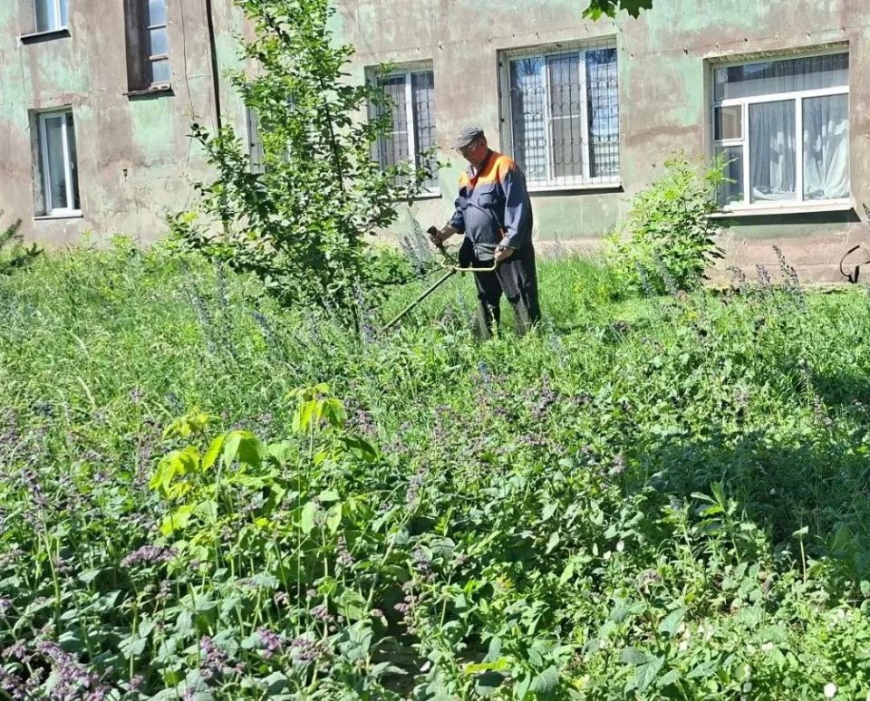 Службы ЖКХ продолжают работы по покосу травы на территории города Службы ЖКХ продолжают работы по покосу травы на территории города