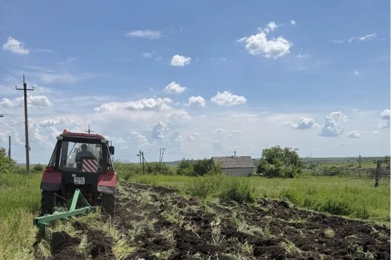Устройство минерализованных полос проводится на подведомственной отделу по обеспечению жизнедеятельности села Александровка территории
