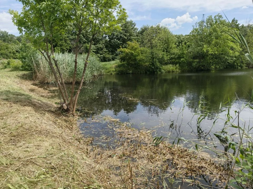 В пгт Городище, на берегу пруда речки Белая по ул. Маяковского отделом по обеспечению жизнедеятельности пгт Городище, с. Малоивановка были организованы и проведены работы по устройству подъезда с площадкой размером 12 х 25... В пгт Городище, на берегу пруда речки Белая по ул. Маяковского отделом по обеспечению жизнедеятельности пгт Городище, с. Малоивановка были организованы и проведены работы по устройству подъезда с площадкой размером 12 х 25...