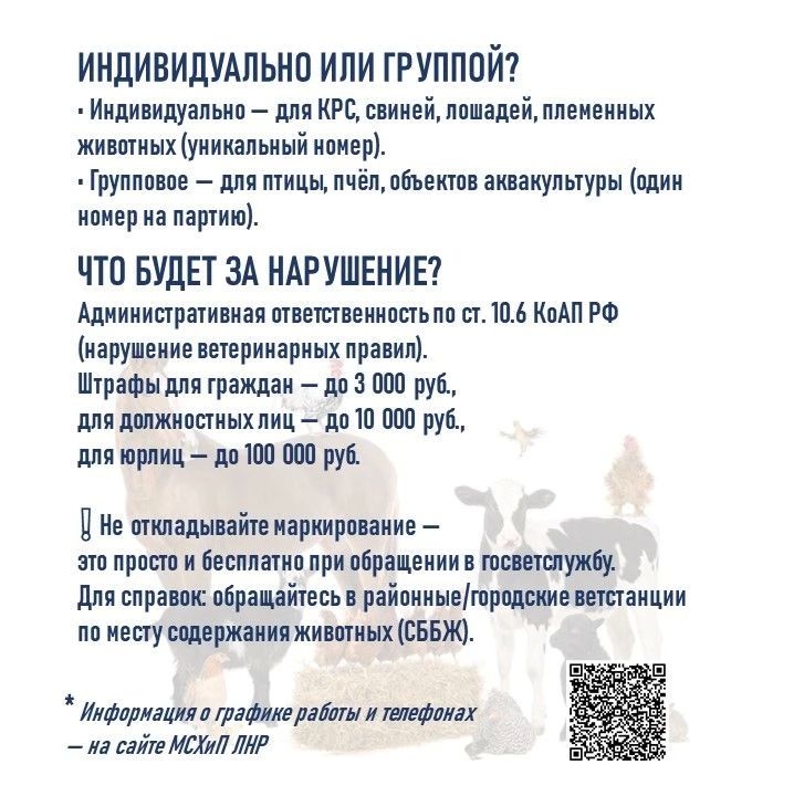 ОБЯЗАТЕЛЬНОЕ МАРКИРОВАНИЕ ЖИВОТНЫХ: ВАЖНАЯ ИНФОРМАЦИЯ ДЛЯ ВСЕХ ВЛАДЕЛЬЦЕВ ОБЯЗАТЕЛЬНОЕ МАРКИРОВАНИЕ ЖИВОТНЫХ: ВАЖНАЯ ИНФОРМАЦИЯ ДЛЯ ВСЕХ ВЛАДЕЛЬЦЕВ