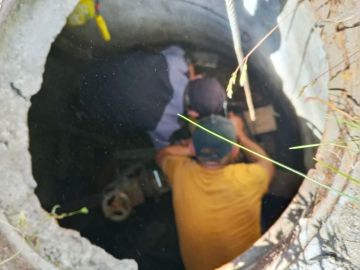 �������� ������: ������������ ������ �� ����� ������������� � ������������� ������