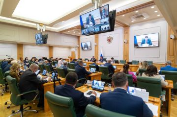 В Совете Федерации обсудили устойчивое развитие муниципальных территорий