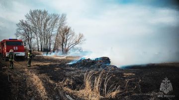Каждый год с приходом тепла, к сожалению, мы наблюдаем одну и ту же картину: где-то за городом появляется дым, который быстро превращается в пожар, охватывающий постройки и заставляющий экстренные службы работать на пределе
