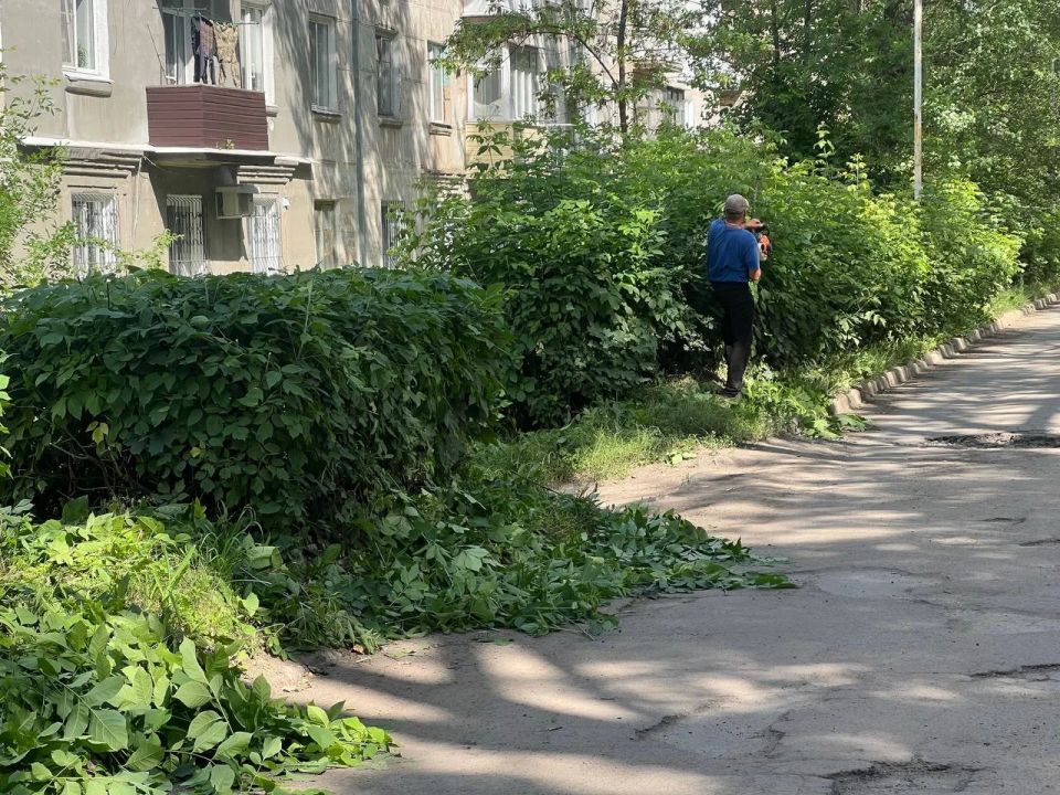 На Краснодонщине продолжаются работы по благоустройству территории На Краснодонщине продолжаются работы по благоустройству территории