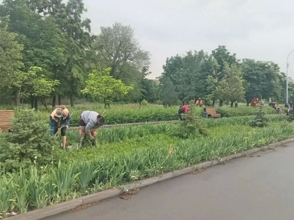 Коммунальными службами проведены работы на территории города Коммунальными службами проведены работы на территории города