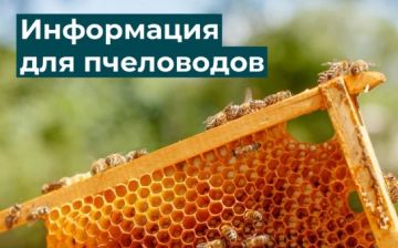 Вниманию пчеловодов!. В связи с наступлением периода активного использования пестицидов сельскохозяйственными производителями, в целях предотвращения возможной гибели пчел, Администрация муниципального округа муниципальное...